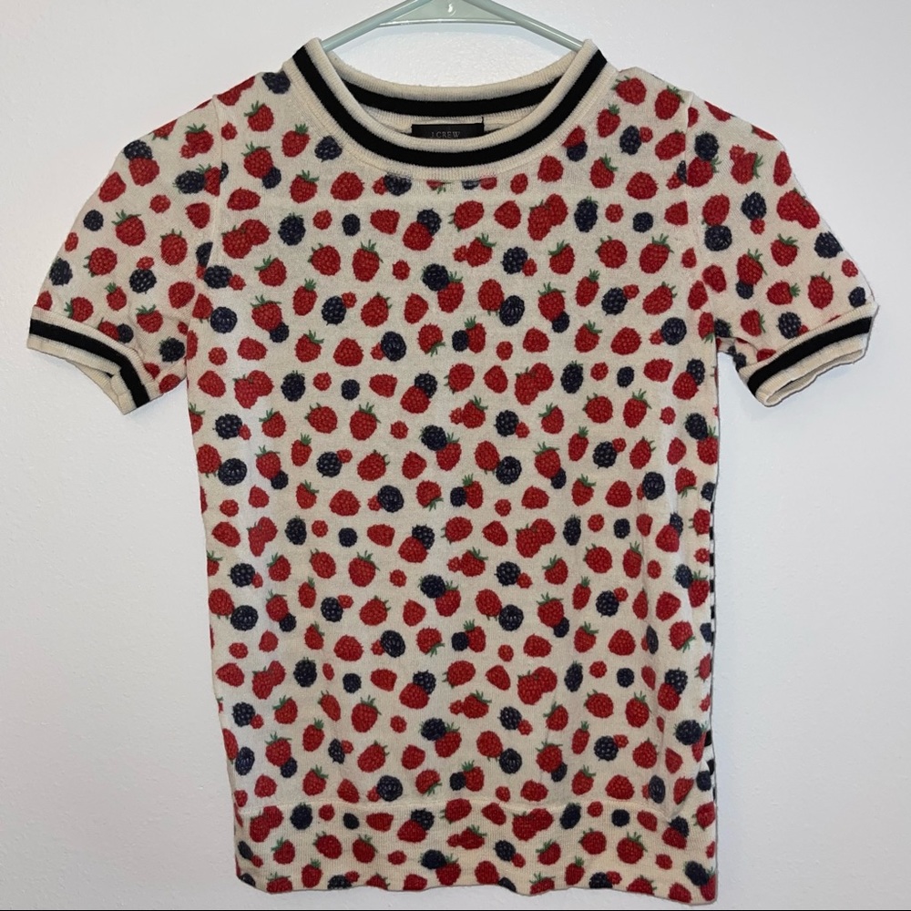 J Crew Raspberries and Blackberries Striped Top